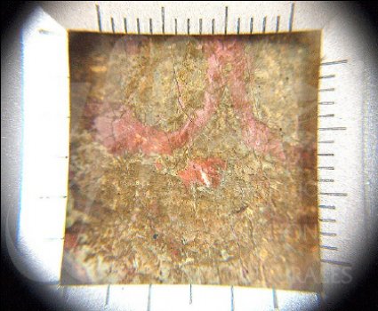 RestauraciÃ³n Virgen PeÃ±a de Francia Salamanca